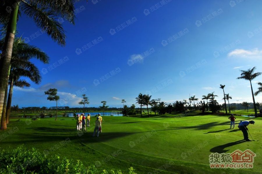 专家预测高尔夫胜率超六成，结果成焦点