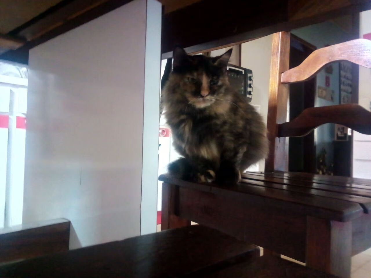 沉默的网,英格拉姆如何用三记封盖织就独行侠的胜利之夜