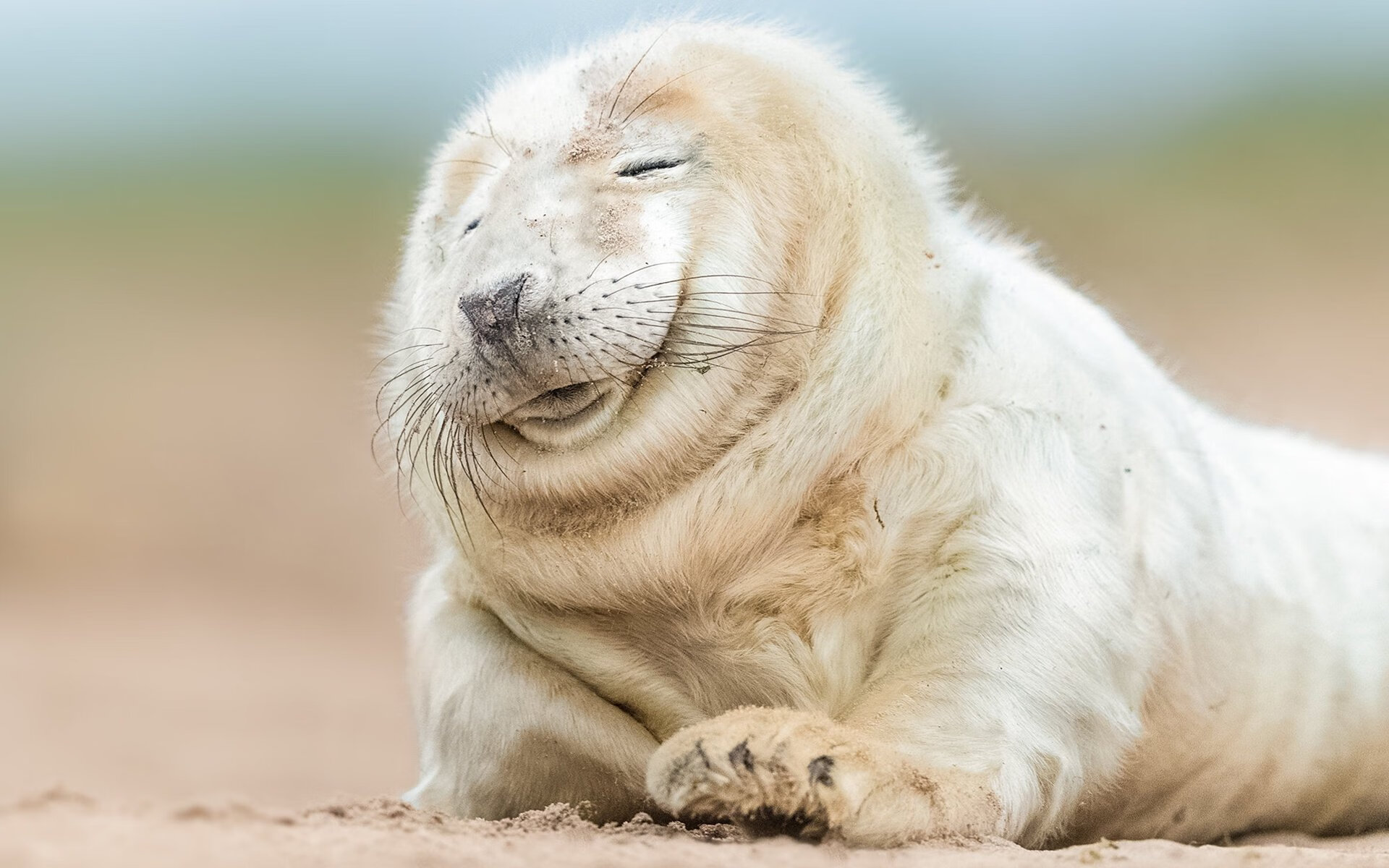 绿茵场上的外交博弈，当福登用足球解构牙买加的高压统治