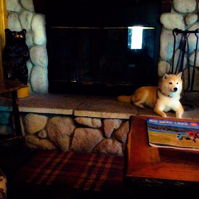 冰封孟菲斯，爱德华兹飓风席卷，篮网用火网炼狱镇压灰熊