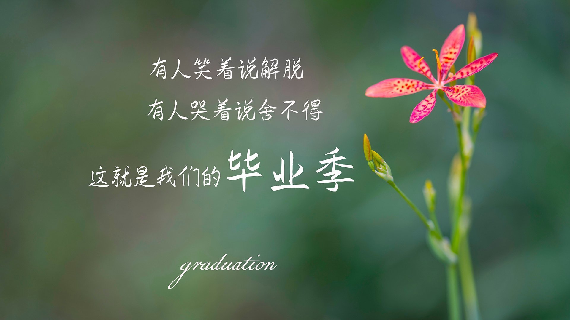 哈弗茨的利刃，当伊拉克铁壁遇上希腊神话