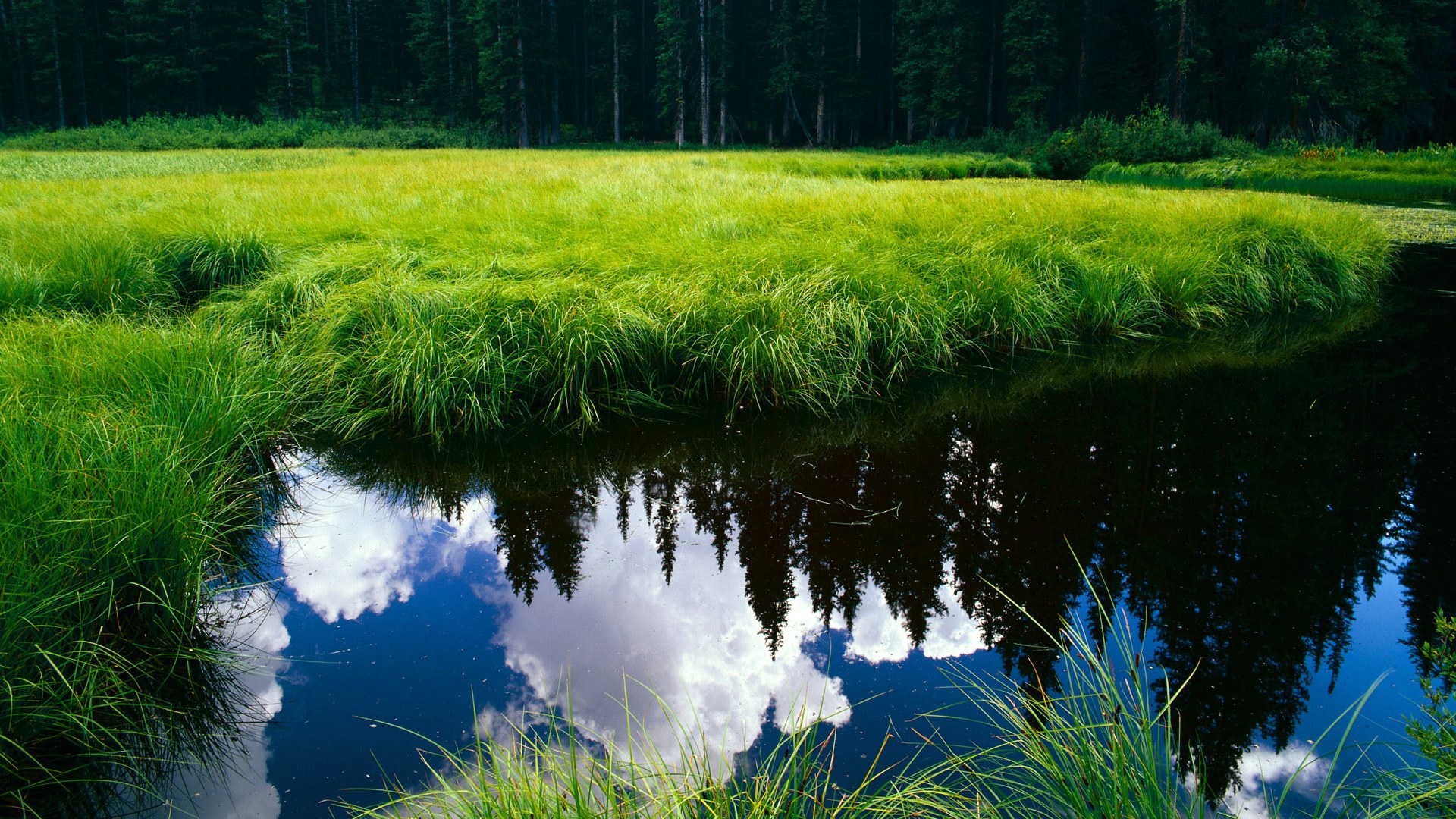 烽火重燃！萨内一剑封喉！奥运关键战曼城险胜卡塔尔，德国飞翼成胜负手