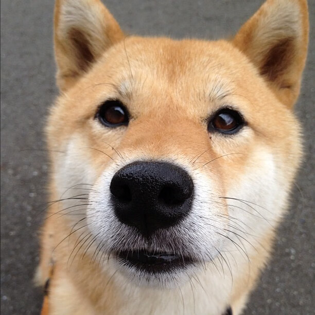 单枪匹马撕裂铁壁防线，欧冠淘汰赛之夜，卡拉斯科全程高能输出