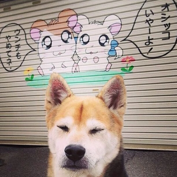 蓝十字下的绿茵风暴，恩佐一球定音，墨西哥收割东道主卡塔尔