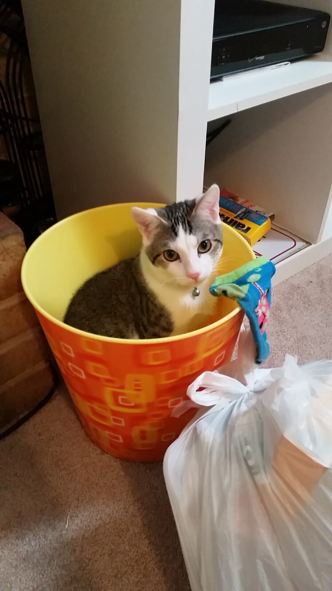 南美黑马掀翻德意志战车,曼联魔翼让防线彻底瘫痪