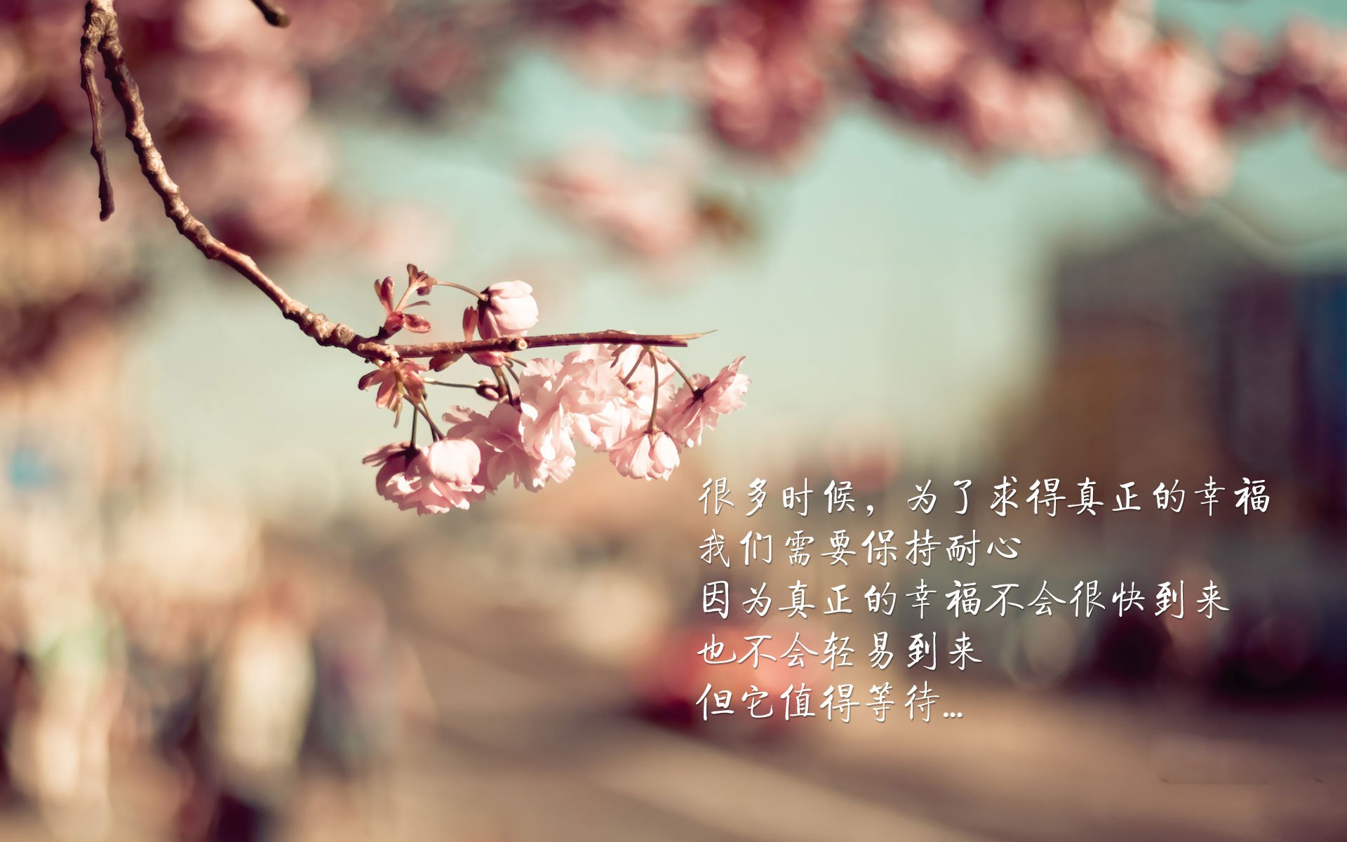 时空交错的镜像对决,当浓眉成为奇才攻防转换核心