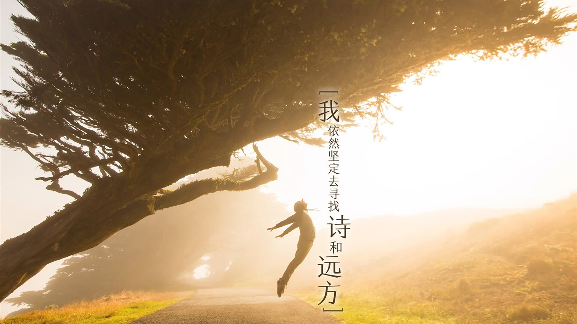 2026,那个让评分系统失效的夜晚