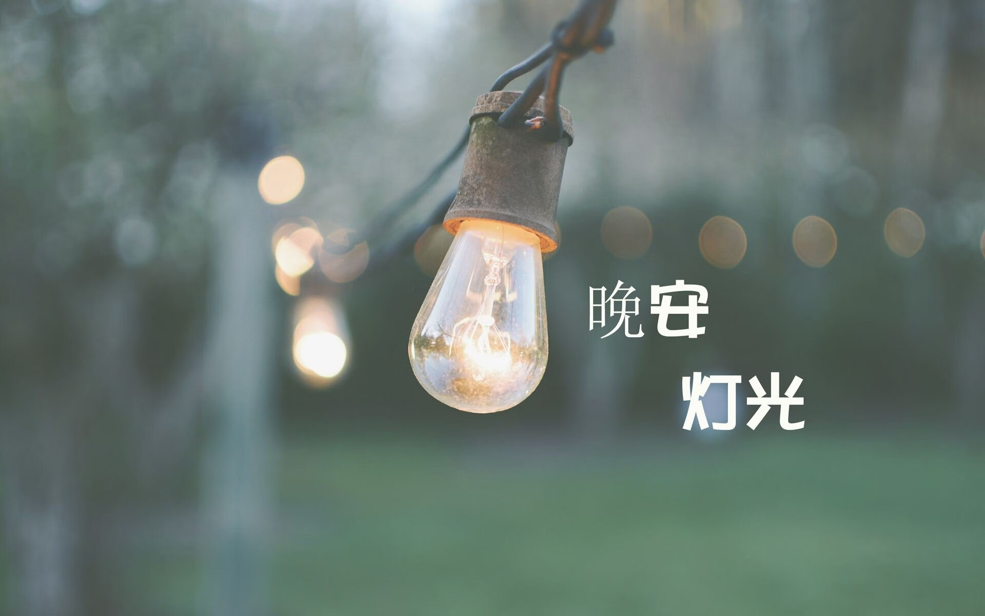 暗夜中的刺穿者,加维的最后一秒,如何将2026世界杯的E组变为血色黄昏